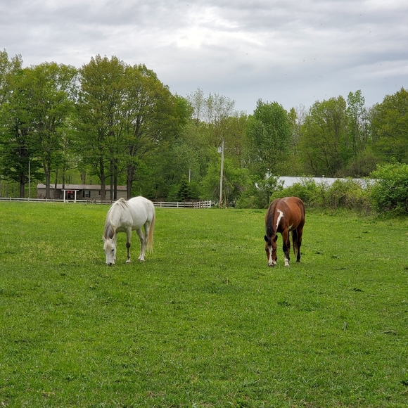 Welcome to my closet! - Picture 3 of 8